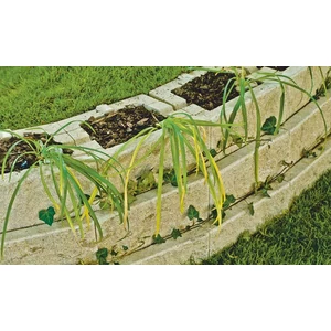 Friedl Faro flórakosár 40x30x15cm mészkő árnyalt 40db/raklap