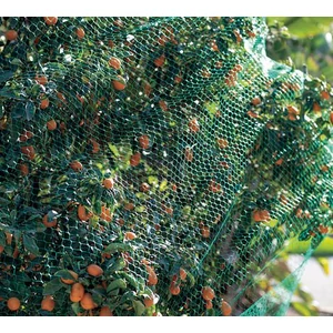 Nortene Birdnet madár elleni védőháló 2x10m zöld